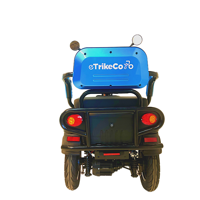 Triciclo Eléctrico 1200 watts DUAL 1800x1100 mm